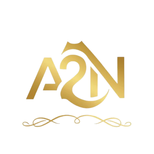 A2N Logo